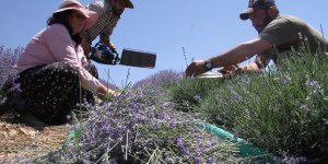 Kızı teşvik etti, emekli olduktan sonra hayalini gerçekleştirdi