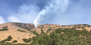 Bingöl'deki orman yangınına müdahale sürüyor