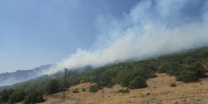 Bingöl'deki orman yangına 100 kişilik ekip müdahale ediyor