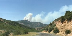 Bingöl'deki orman yangınına müdahale sürüyor