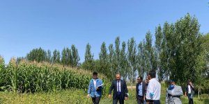 Tarım ve Orman Müdürü Altıntaş köylerde