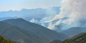 Tunceli kırsalındaki örtü yangınını söndürme çalışmaları devam ediyor