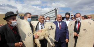 Erzincan'da Geleneksel Koç Katılım Şenliğinin 2.'si Çayırlı'da düzenlenecek