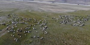 Soğuk bastırdı, göç başladı: Diyadin’de yaylalardan köylere uzun dönüş