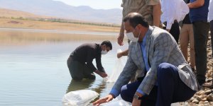 Elazığ’da 100 bin bin yavru sazan balığı gölete bırakıldı
