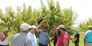 Iğdır İl Tarım Müdürü Yolcu, tarlada çalışan çiftçileri dinledi
