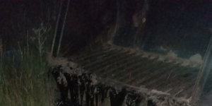 Zift birikintisine düşen köpeği itfaiye ekibi kurtardı