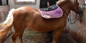 Geleceğin atçılık antrenörlerinin stajları da eğitimleri kadar zor