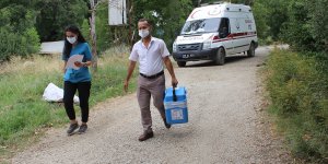 Van ve Hakkari'de mobil ekipler, "mavi" kategoriye geçmek için çaba gösteriyor