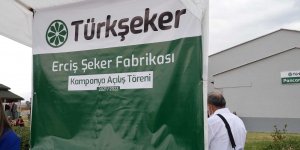 Erciş'te şeker pancarı alımı başladı