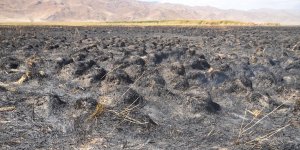 Yüksekova'nın Nehil Sazlığı'nda başlayan yangın kısmen söndürüldü