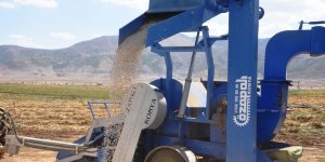 Bitlis'te bu yıl 40 bin ton fasulye hasadı bekleniyor