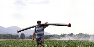 Şeker pancarı alım fiyatının yükselmesi Muş'taki çiftçileri sevindirdi