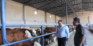Hayvancılık işletmesi ziyaret edilerek incelendi