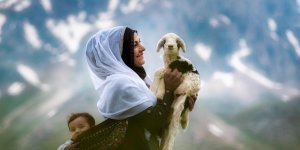 Fotoğraf sanatçılarının objektifinden İliç