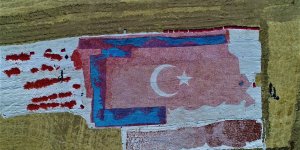 Kurutmalık domateslerle ay yıldızlı Türkiye haritası oluşturuldu