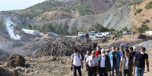 Meşe odununun mangal kömürüne