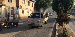 Baskil Belediyesi haşerelere karşı ilaçlama yapıyor