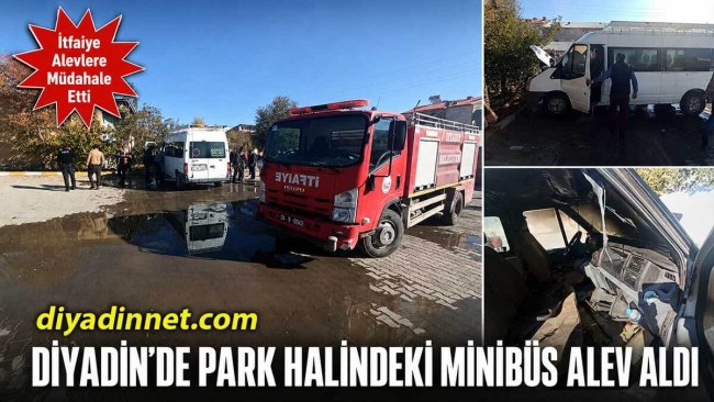 Ağrı Diyadin'de Park Halindeki Araç Alev Aldı