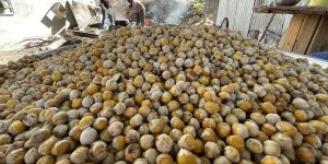 Elazığ'ın tescilli lezzeti Ağın leblebisine talep artıyor