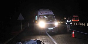 Elazığ'da feci kaza: Transitin çarptığı 2 kişi hayatını kaybetti