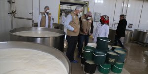 Erzurum'daki gıda denetimlerinde 79 işletmeye 822 bin lira ceza uygulandı