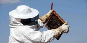 Erzincan'da arıların 'tatlı uykusu' başlıyor