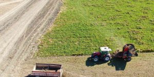 Hedef 550 bin ton pancardan 82 bin ton şeker üretimi