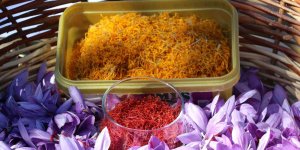 Gramla satılıyor, kilogram fiyatı dudak uçuklatıyor