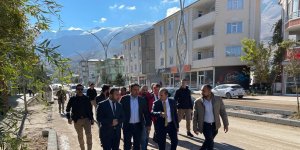 Genel Sekreter Çelikel, Gevaş ilçesindeki cadde çalışmalarını inceledi