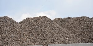 Kars Şeker Fabrikası pancar alımına başladı