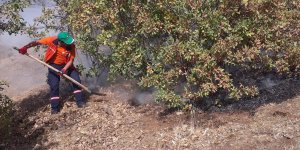 Bingöl'de ormanlık alanda çıkan yangınlar söndürüldü