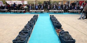 Elazığ'da 15. Geleneksel Orcik ve Bağ Bozumu Festivali yapıldı