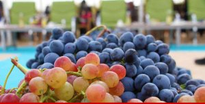 Elazığ'da 15. Bağ Bozumu ve Orcik Festivali başladı