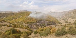 Bingöl'de 4 ayrı ormanlık alanda çıkan yangınların 3'ü söndürüldü
