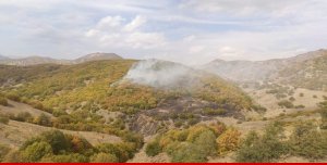 Bingöl'deki orman yangınları kontrol altına alındı