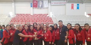 Elazığ Gençlik ve Spor Kulübü, 2. Lig'de