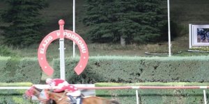 Elazığ Üzüm Festivali Koşusunu Dothraki kazandı