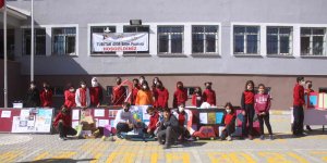 Van'da TÜBİTAK 4006 Bilim Fuarı