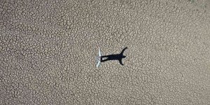 Kuraklık vurdu, baraj çöle döndü