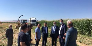 "Silajlık Mısır Hasadı Tarla Günü" etkinliği