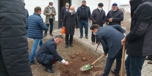 Kale'de deprem konutları ağaçlandırıldı