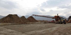 Muş ekonomisine 350 milyon liralık şeker katkısı