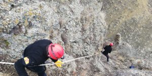 Ağrı'da kayalıklarda mahsur kalan vatandaşı itfaiye kurtardı