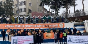 Erzurum'da kamu kurum kuruluşları ve STK'lar kadına yönelik şiddete dikkat çekmek için toplandı