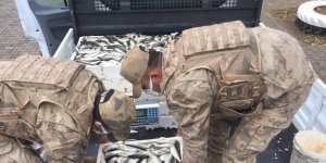 Nazik Gölü'nde kaçak avlanan 425 kilogram balığa el konuldu