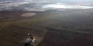 Kuyucuk Gölü'nde bin 200 kuş sayıldı