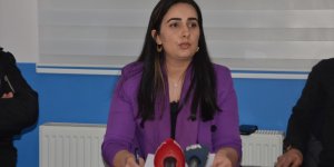 DEVA Partisi Muş İl Başkanı Çelik ile 45 kişi partiden istifa etti