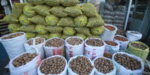 Taneyle satılan Adilcevaz cevizi, yurdun dört bir yanına gönderiliyor