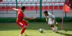 TFF 3. Lig: Elazığspor: 1 - Hendekspor: 1